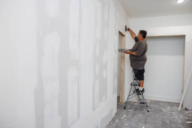 Best Mold Documentation for Insurance Claims  in Oroville East, CA