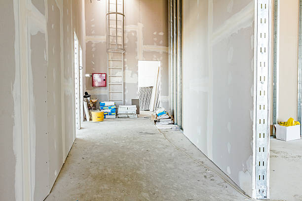 Best Environmental Consulting for Mold Prevention  in Oroville East, CA