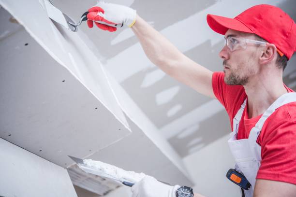 Best Mold Odor Removal Services  in Oroville East, CA